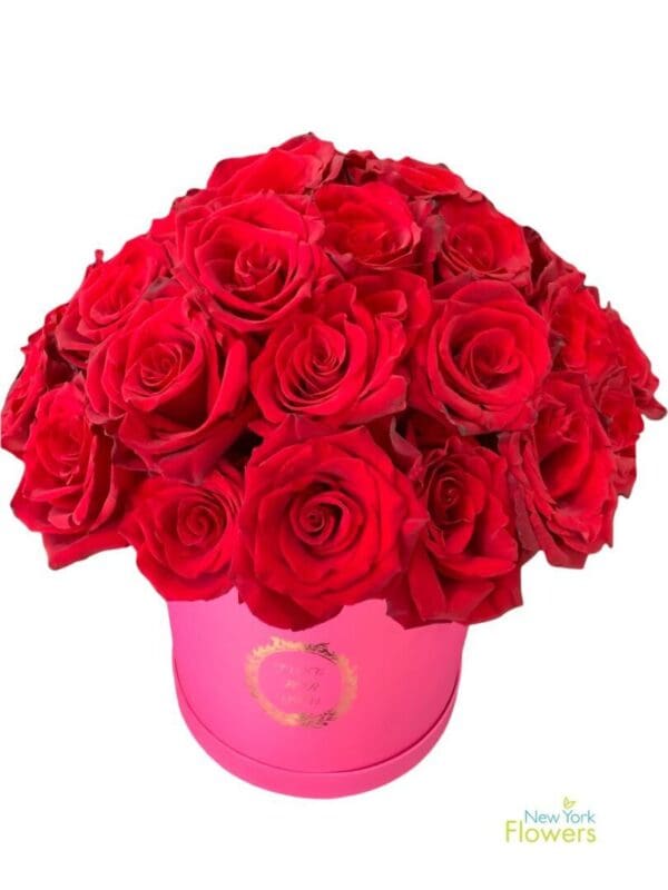 Explorer Red Premium Roses Pink Deluxe Box