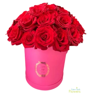 Pink Deluxe Box Explorer Red Premium Roses
