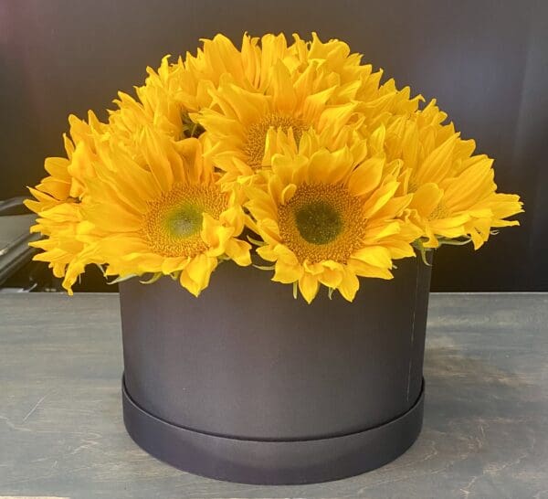 20 Black Round Box with Sunflowers