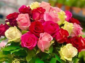 60 Premium Long Stems Mix Colors Roses Bouquet