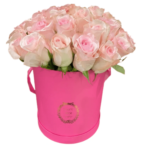 A pink gift box with pink roses