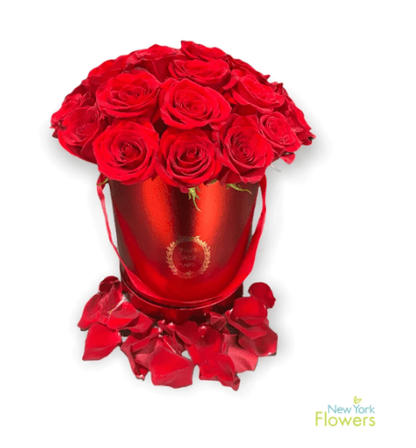 A red bucket with red roses