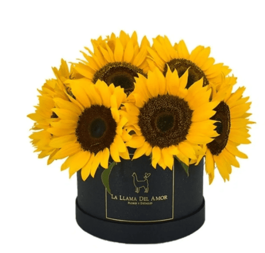 A gift box with sunflowers