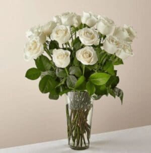 White roses with long stems