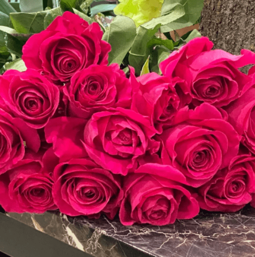 Large hot pink roses