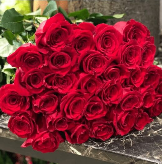 A bundle of red roses