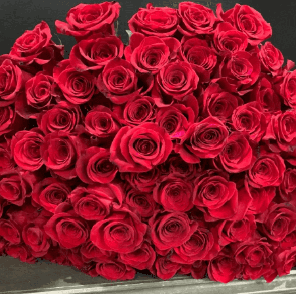 100 Long Stem Red Roses Bouquet Wrapped