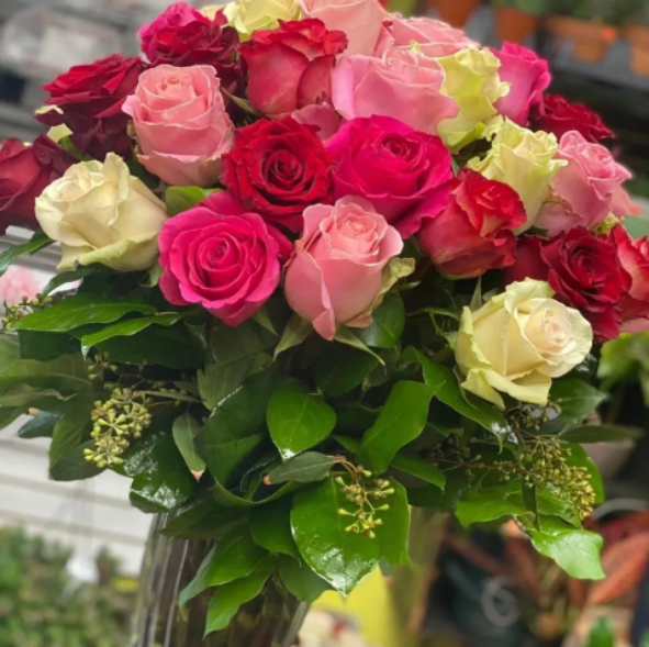 A bundle of red, pink, and white roses