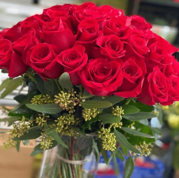 Closeup photo of red roses