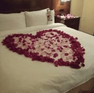 A bed of rose petals