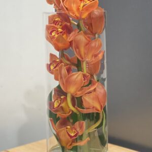 A vase full of orange orchids