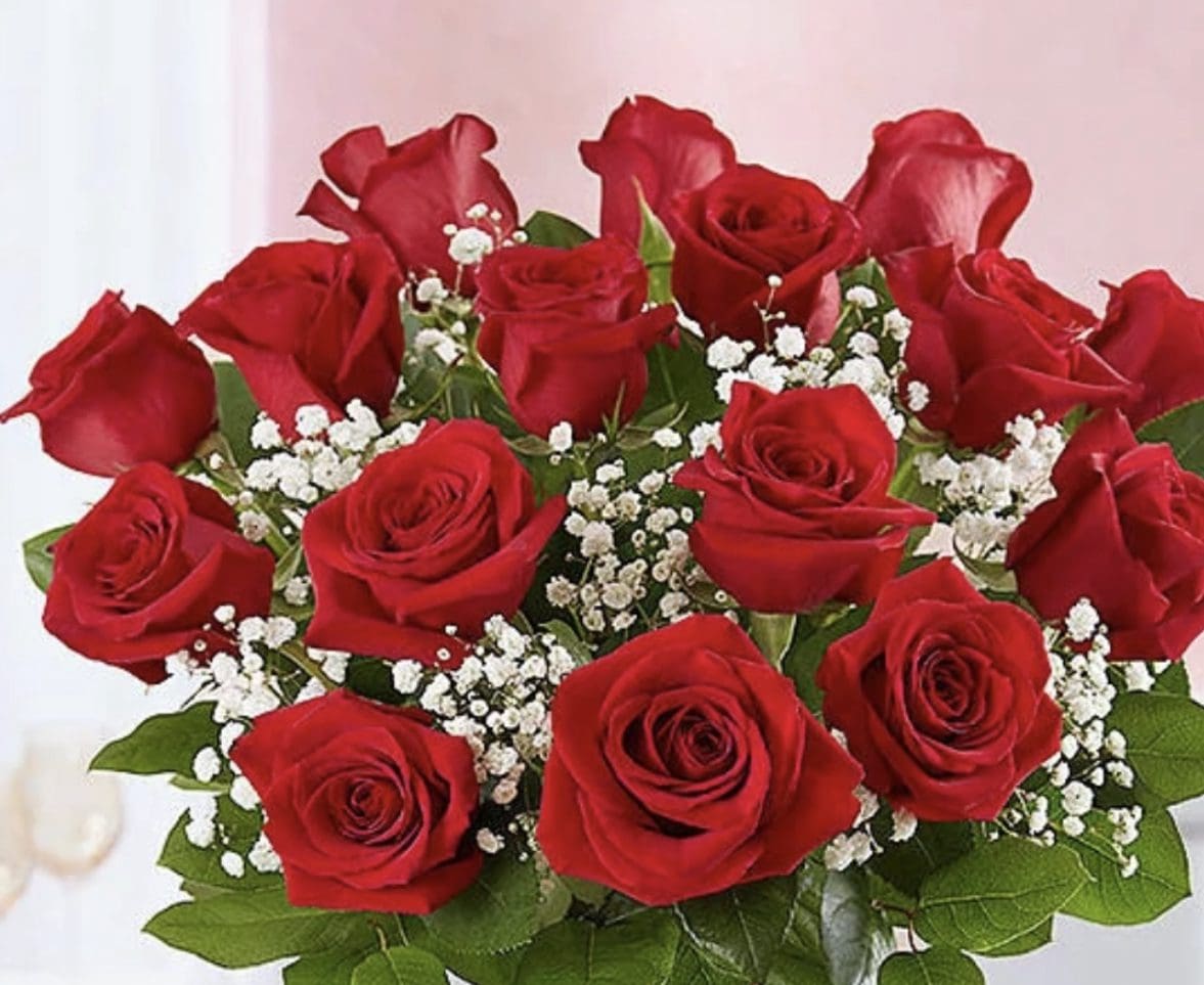 A bouquet of red roses and small white flowers
