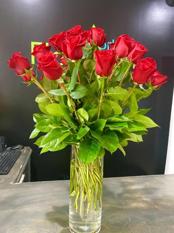 24 Long Stem Red Rose in Vase