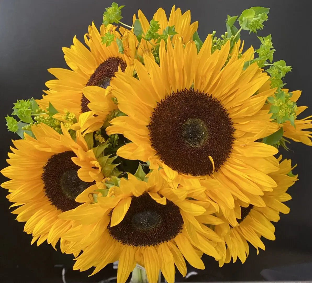 A bundle of sunflowers