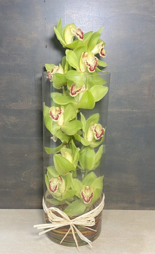 A tall glass vase with green orchids
