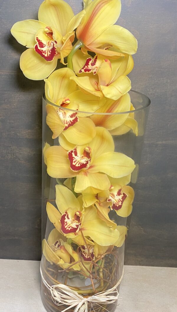 A tall glass vase with yellow orchids