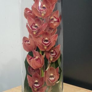 A tall glass vase with red orchids