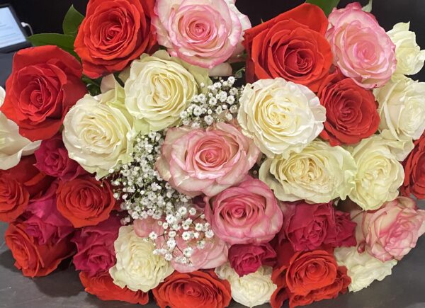 Red, pink, and white roses