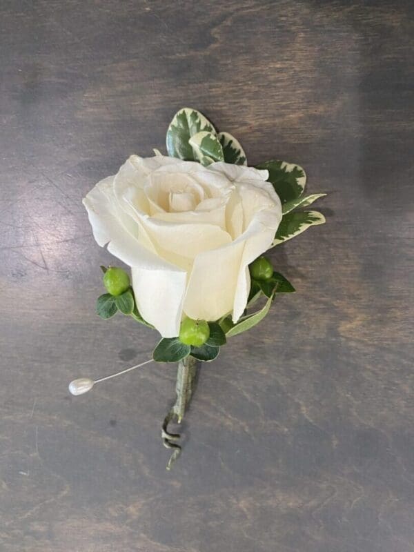 A white rose