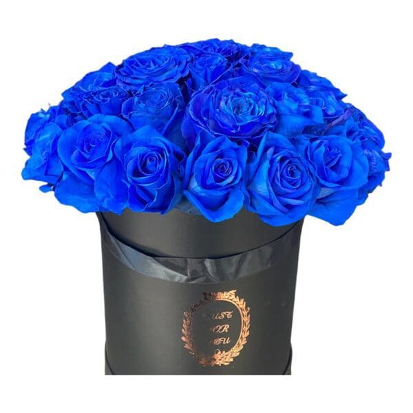 Fresh Cut Blue Roses Black Deluxe Box