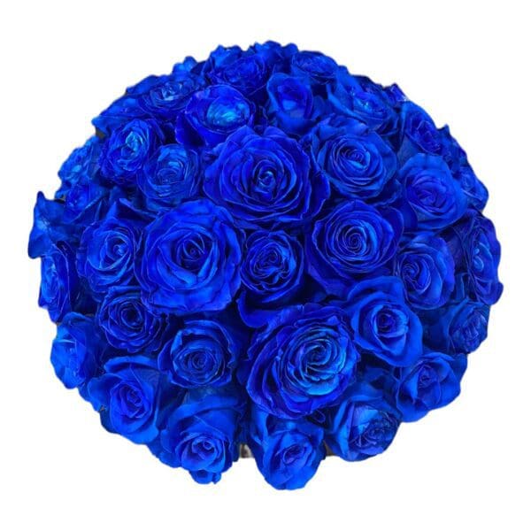 Picture of Black Deluxe Box with Blue Roses