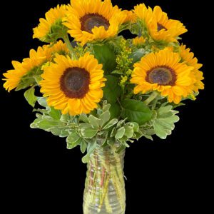 Premium Long Sunflowers in Cylinder