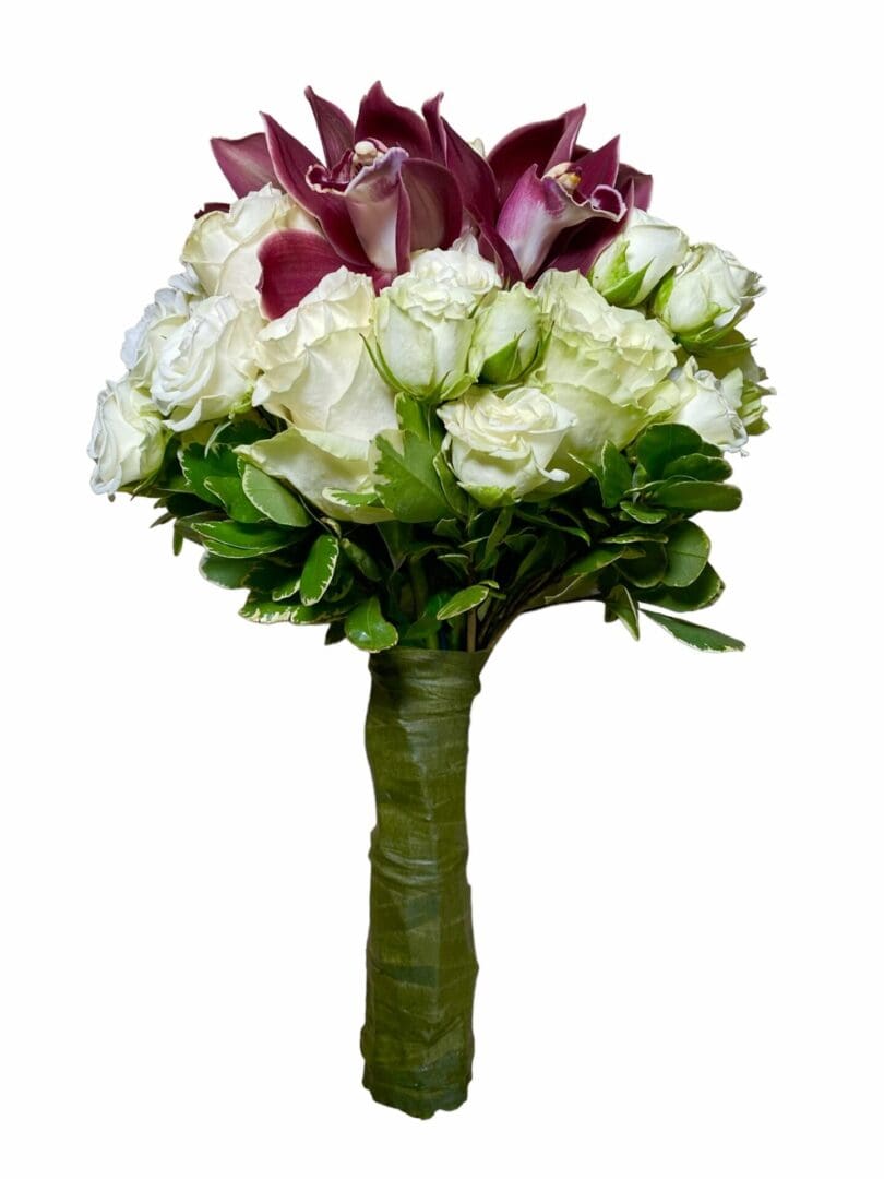 Picture of Cymbidium Bridal Bouquet