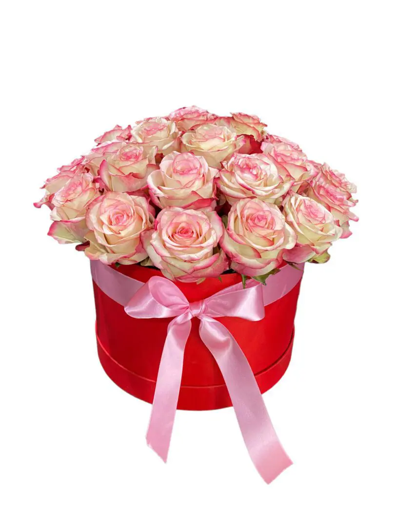 Pink and White Roses In Red Round Box