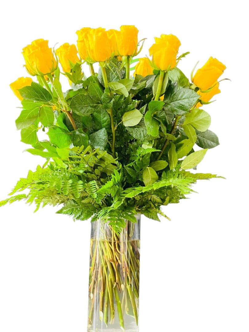 Picture of 24 Long Stem Yellow Roses
