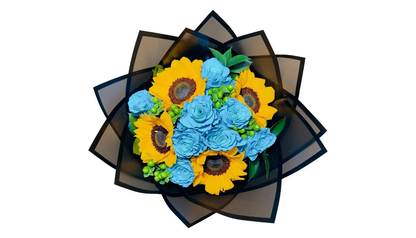 A vibrant arrangement of sunflowers and the 12 Blue Roses Bouquet Wrapped in a decorative vase.