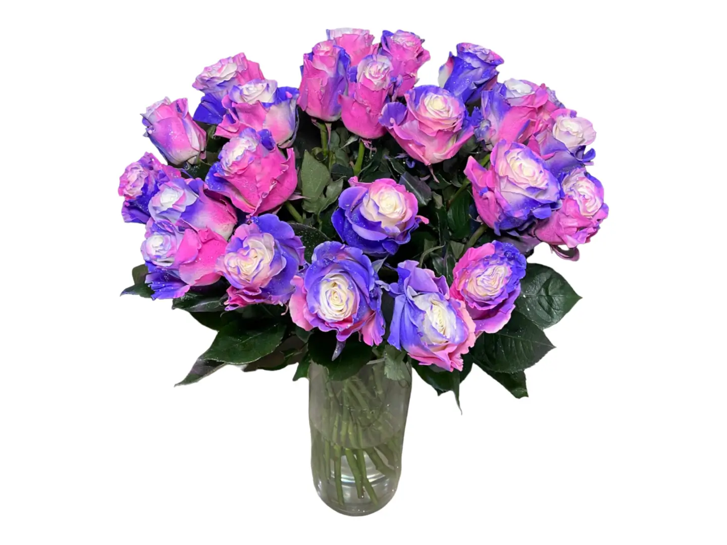 24 payasitos roses in a vase with green leaves