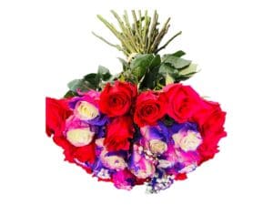 24 PAYASITOS-HOT EXPLORER ROSES BOUQUET