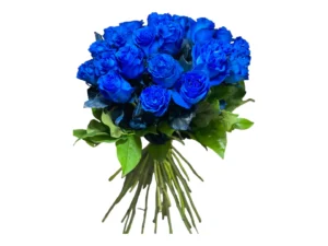 24 roses tinted blue wrapped bouquet