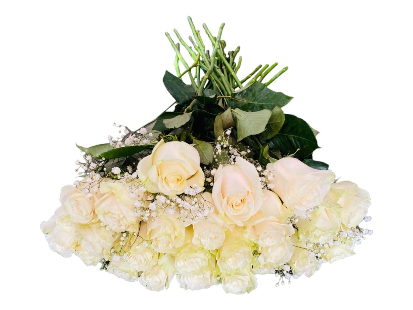 12 white mondial roses bouquet