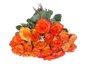 24 high magic roses bouquet on a white background