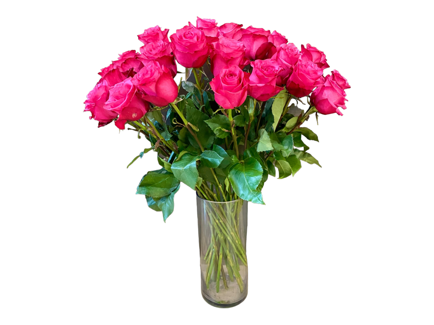 24 hot explorer roses arrangement on a vase