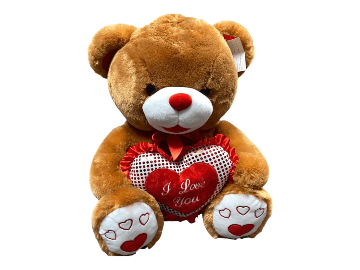 gt7922 brown teddy bear 25 on a white background
