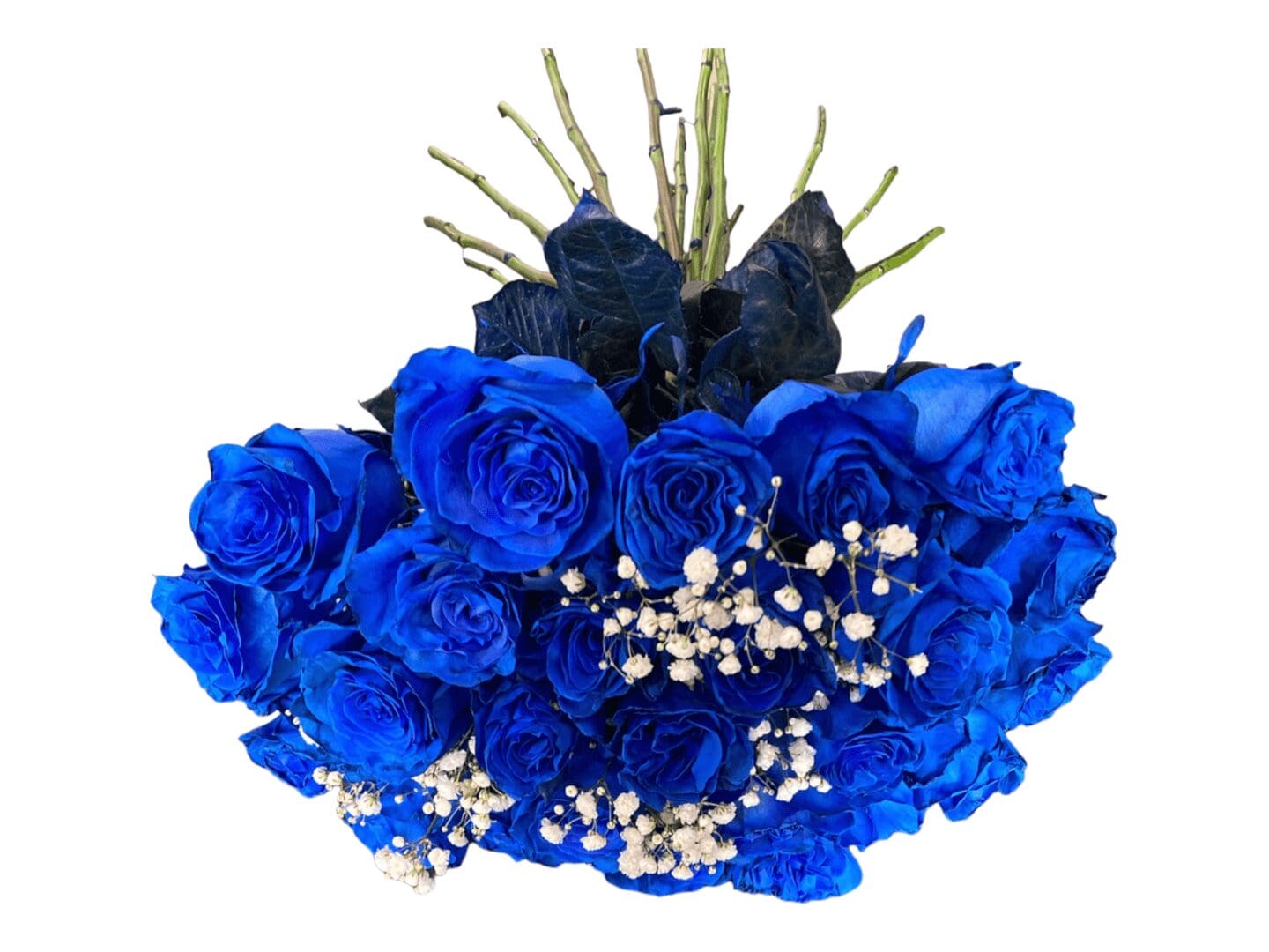 36 blue roses bouquet on a white background