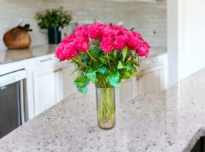 24 Premium Hot Pink Roses in Vase