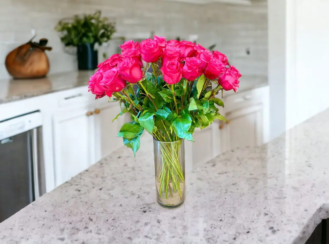 A 24 Premium Hot Pink Roses in Vase on a kitchen countertop.