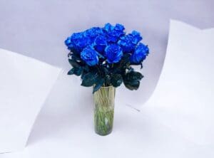 A bouquet of blue roses in a glass vase against a white background.