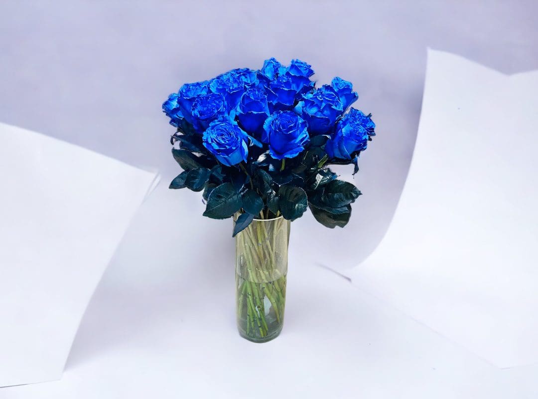 A bouquet of blue roses in a glass vase against a white background.