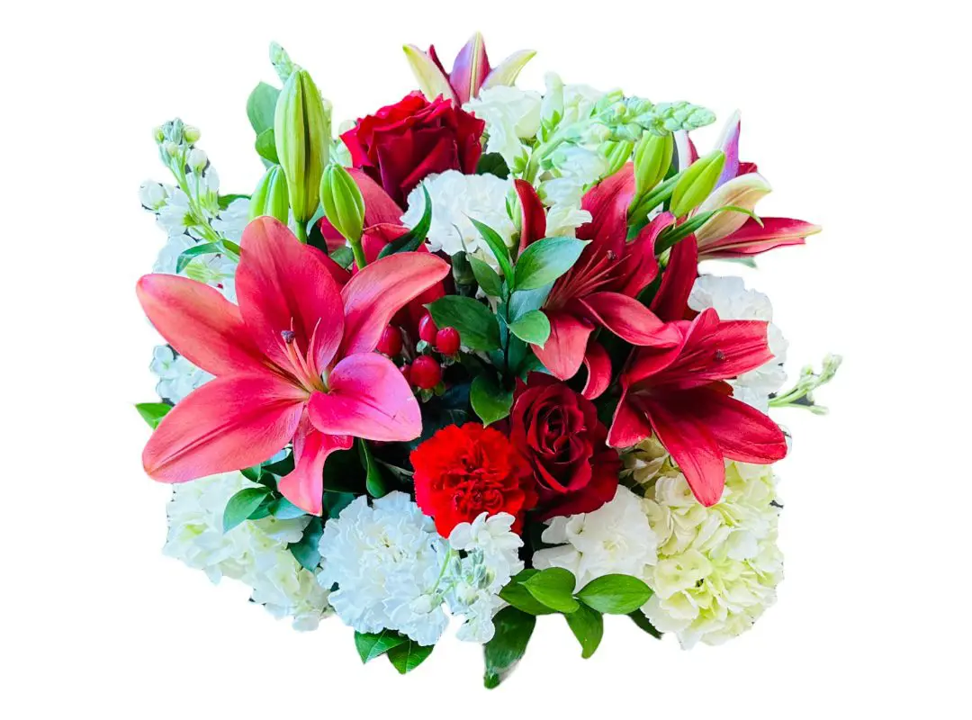 A vibrant Sweetheart Wrapped Bouquet featuring red lilies, red roses, and white hydrangeas with green foliage, isolated on a white background.