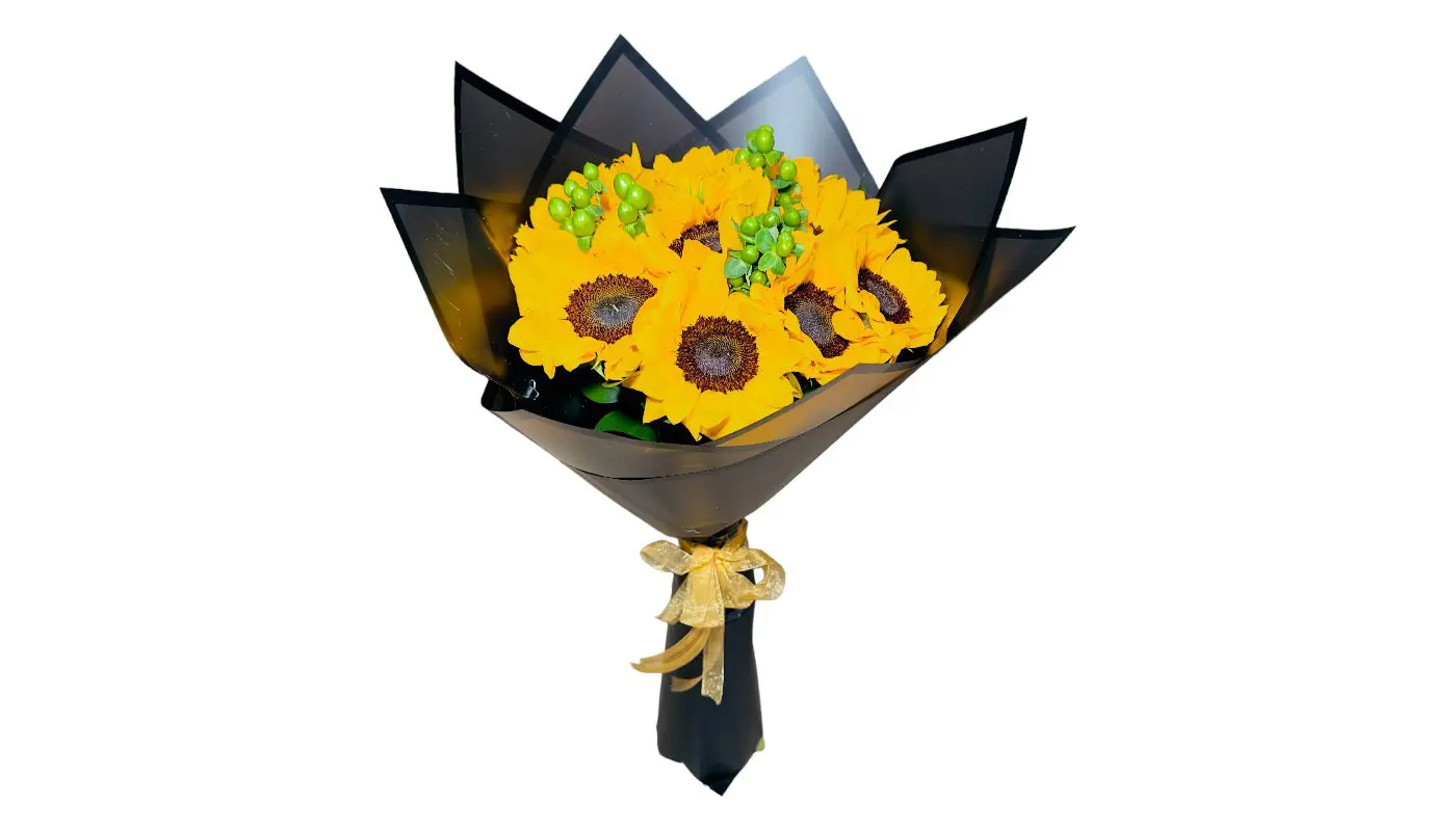 A WRAPPED SUNFLOWERS BOUQUET adorned with green accents and wrapped in black paper with a gold ribbon.