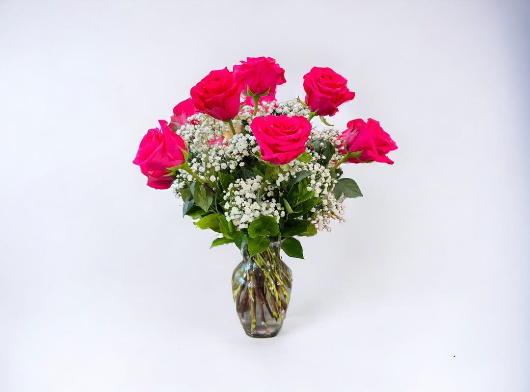 A 12 HOT PINK ROSE VASE accompanied by baby's breath on a plain background.