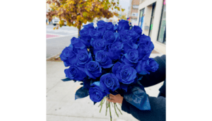 Royal Blue Premium Long Stem Roses