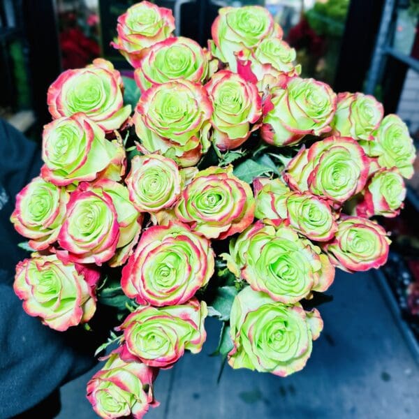 A bouquet of Apple Candy roses with pink edges and green centers.