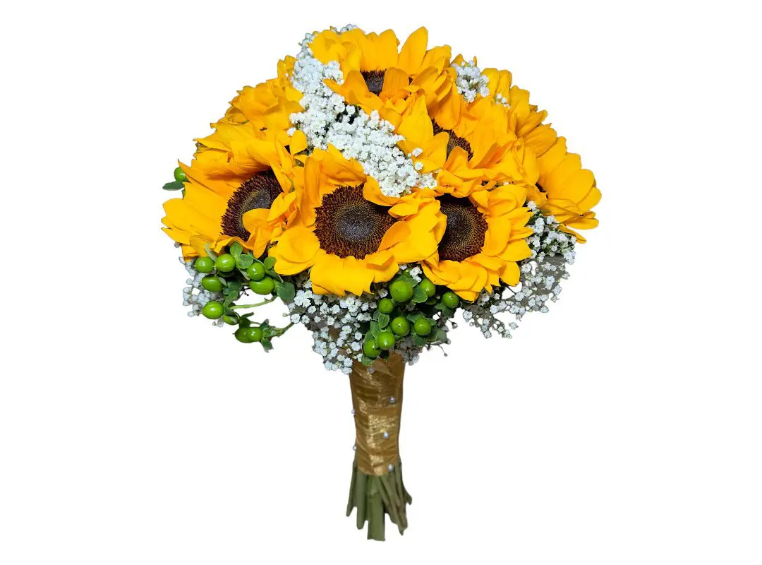 SUNFLOWERS BRIDAL BOUQUET of yellow sunflowers, baby's breath, and green berries with a twine-wrapped stem against a white background.