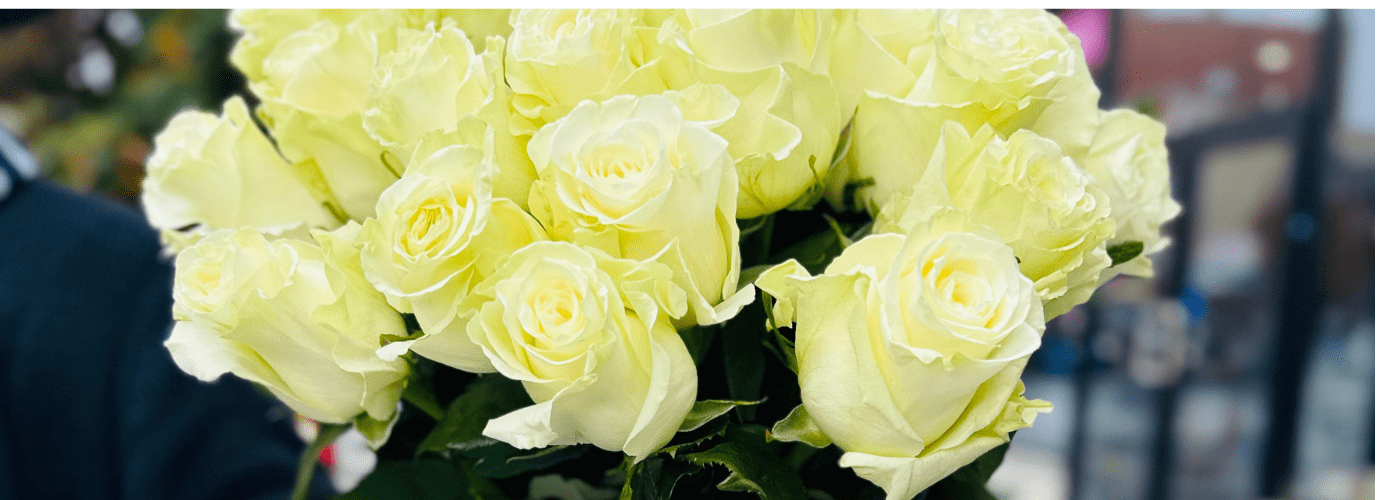 A bouquet of fresh white roses in focus with a blurred background.