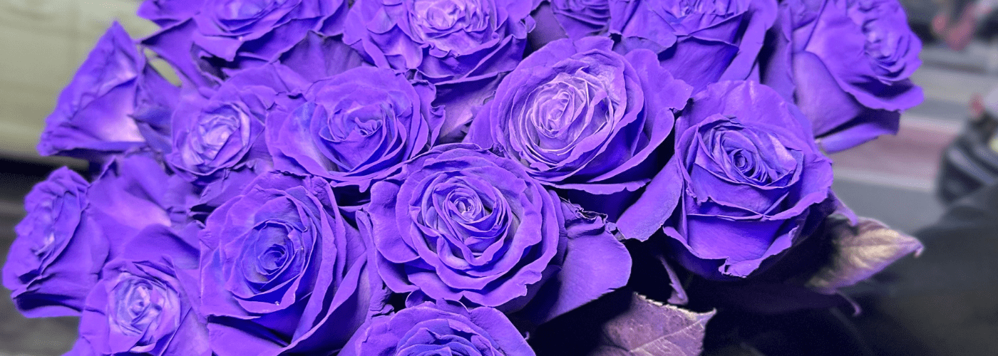 A bouquet of vibrant purple roses in full bloom.